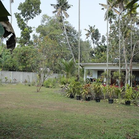 Marari Ebin Charlys Apartment Mararikulam Ngoại thất bức ảnh