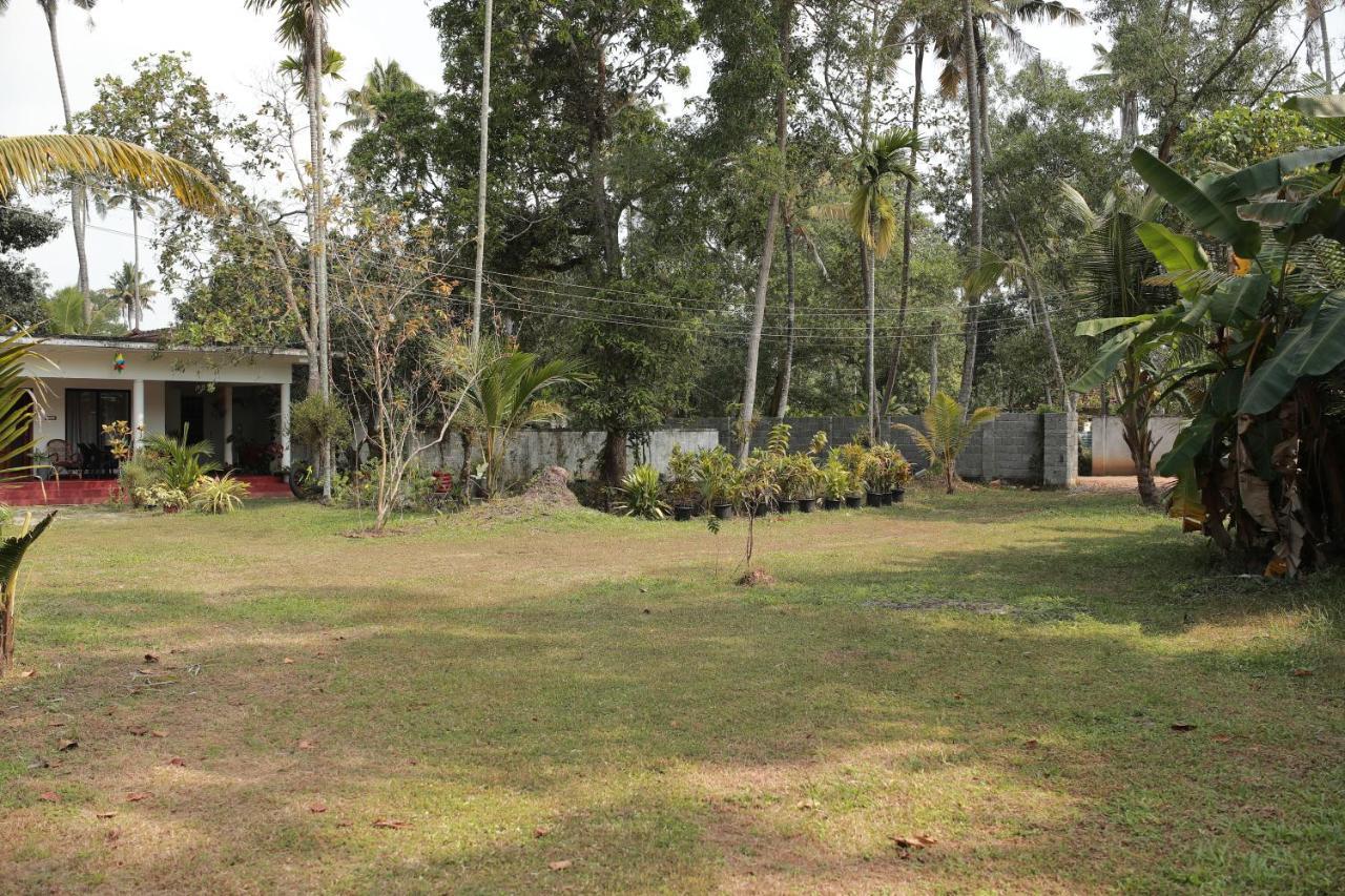 Marari Ebin Charlys Apartment Mararikulam Ngoại thất bức ảnh